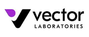 VectorLabs